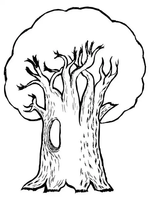 橡树的插图,手绘, 矢量, 橡木的卡通插图