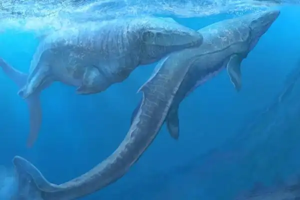 霍夫曼沧龙沧龙科最大的物种最长19米俄罗斯出土