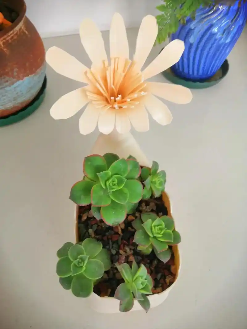 自制花盆!第一个作品!虽不完美,还算成功吧! - 抖音