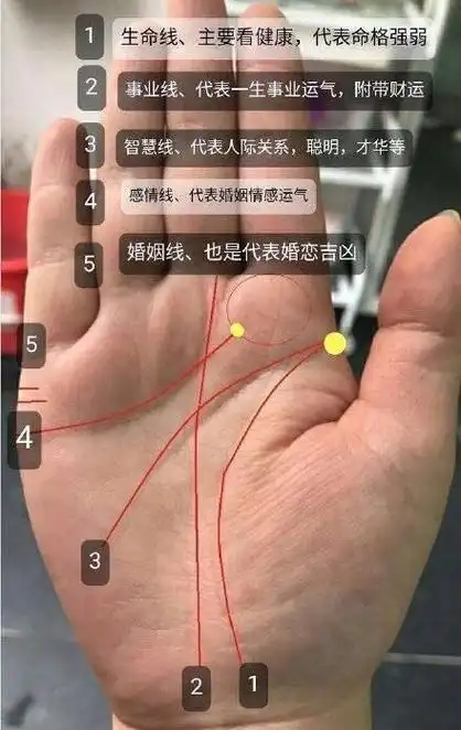 手纹有线穿过生命线和智慧线(手纹有线穿过生命线和智慧线好不好)