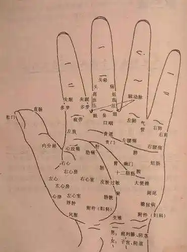 一般来说,感情线与头脑线之间的距离有1公分或超过1公分,都代表肺活量