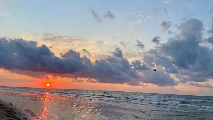 加尔维斯顿海上日出风景壁纸