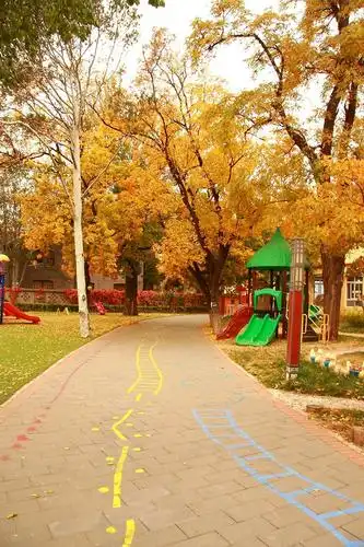 北京大学幼儿园校园开放日