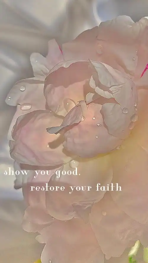 求这个壁纸小红书看到的