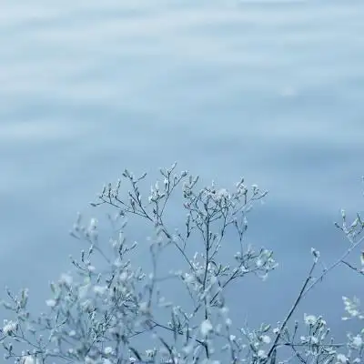 微信唯美风景头像大全吉利好看 能带来好运的风景静物头像