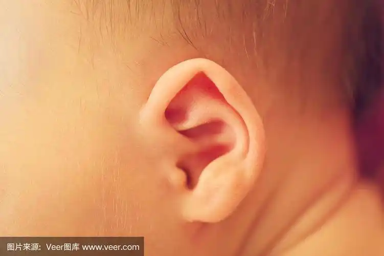 新生儿小耳朵