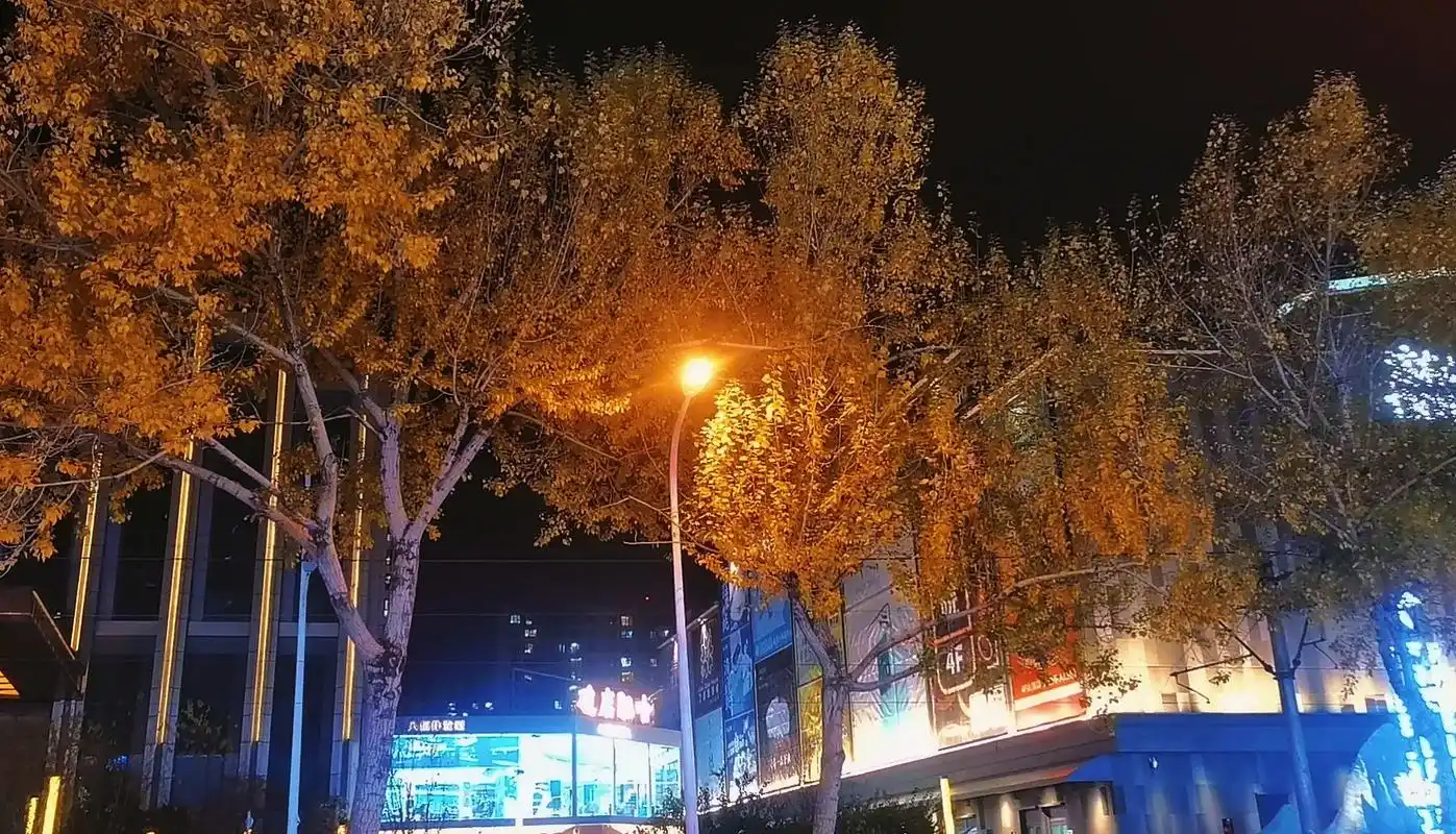 桃花是路上随手摘的照片是下班随手拍的记录真实生活