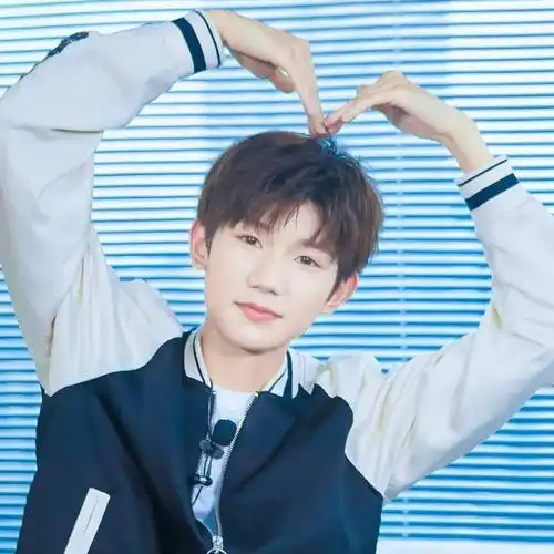 【微信头像】王源