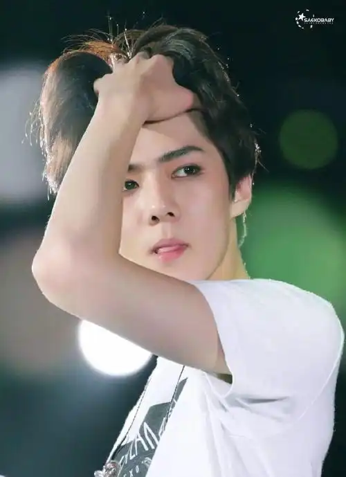 exo——应该禁止吴世勋随意撩头发 太迷人了