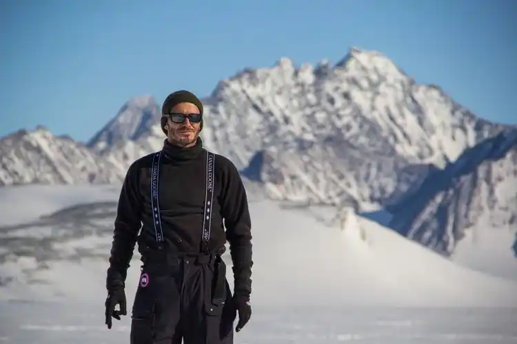 走红的加拿大鹅:名人效应