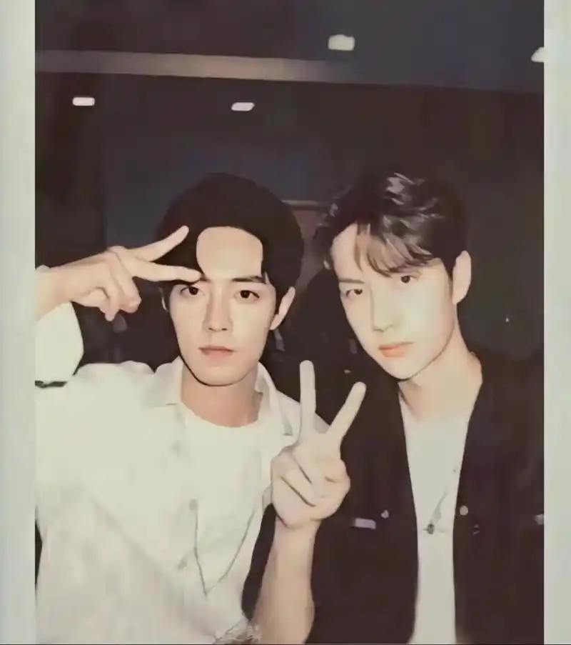 没有期待的日子里反而顺顺利利.#肖战王一博 - 抖音