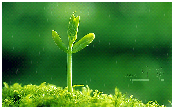 600_375gif 动态图 动图