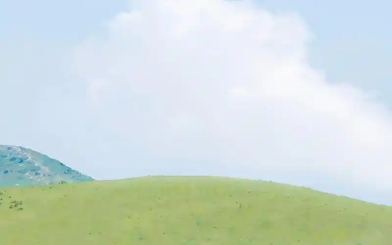 夏日绿色清新电脑桌面壁纸