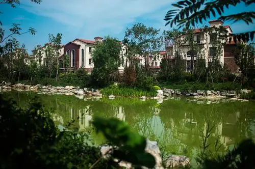 棕榈滩·中央墅湖景独栋在售 50万抵100万钜惠