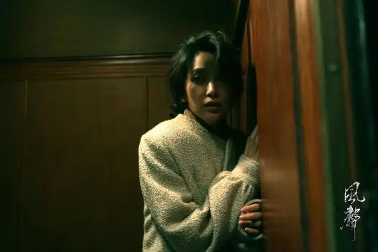 这部r级的电影,是怎么上映的?堪比满清十大酷