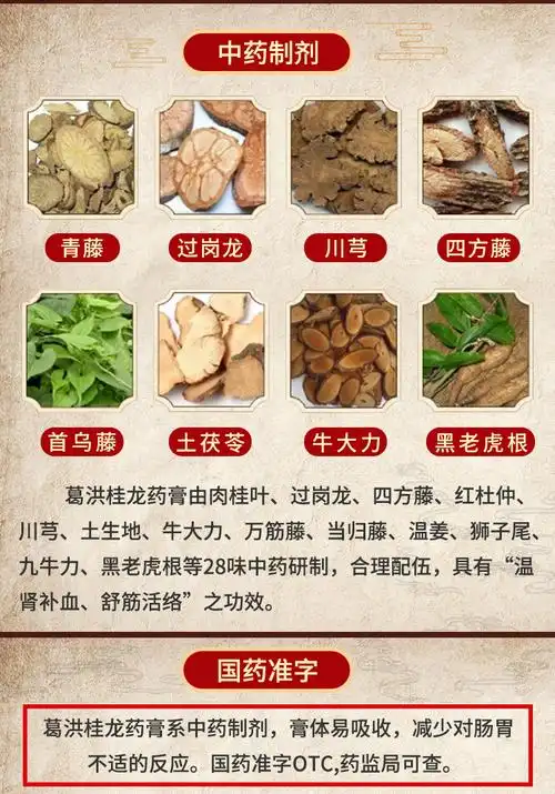 广西葛洪牌桂龙药膏正品202g男性补肾补血祛风除湿舒筋活络治疗风湿