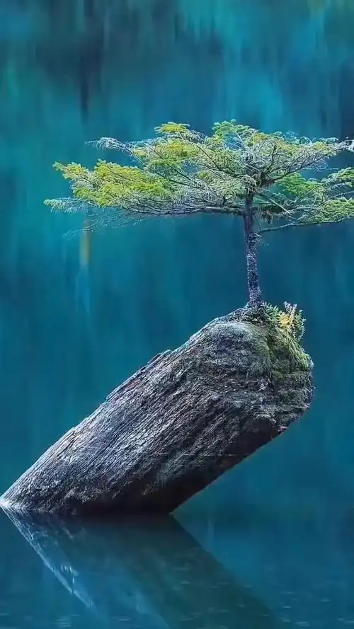 总有一些地方可以净化你的心灵,总有一些人可以让你不惧风雨!