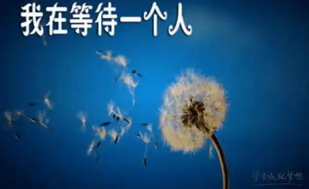 等待一个人唯美句子