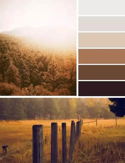 棕棕色,是由混合小量红色及黄色,橙色及蓝色,或黄色及紫色构成的颜色