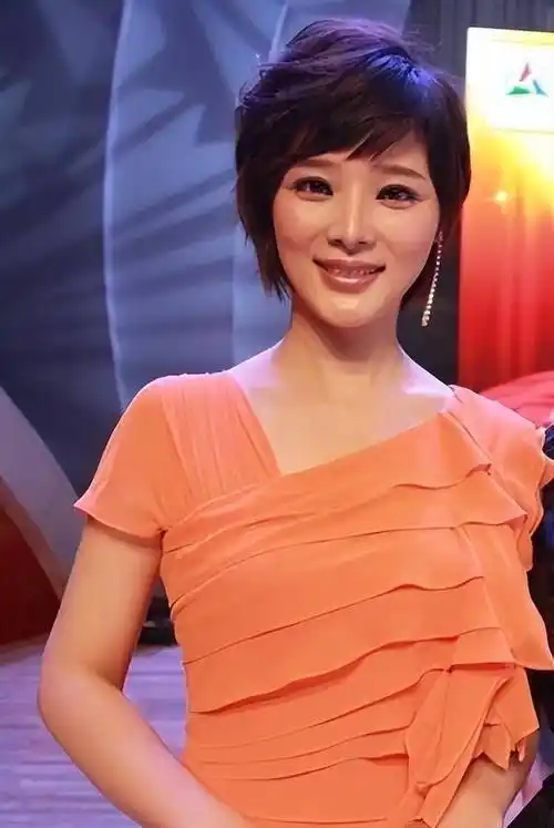 央视胡蝶:与大12岁丈夫长期分居,两次怀孕都独自产检,她幸福吗_工作