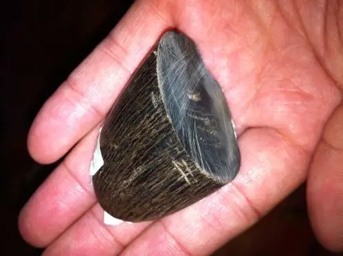 大家能帮我看看,这个是犀牛角吗?谢谢