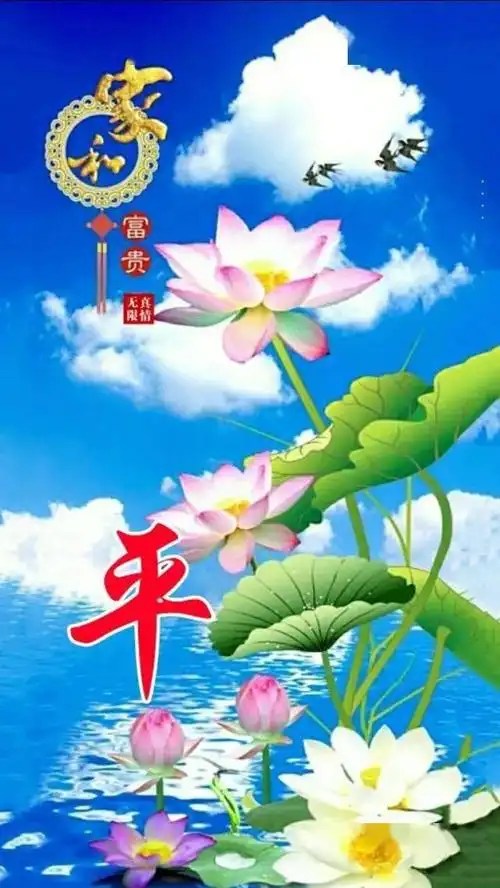 中老年头像大全荷塘月色等风景系列手机壁纸赶紧抱图吧