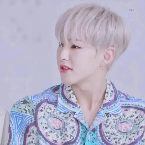 微信头像seventeen权顺荣