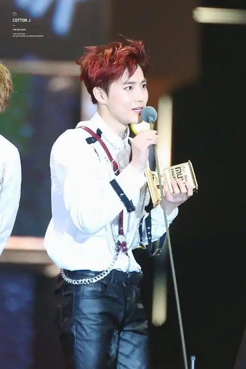 2016mama 颁奖典礼 exo 四连大赏 年度专辑奖 金俊勉