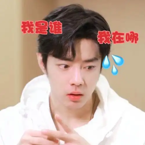 肖战看了都要保存的表情包