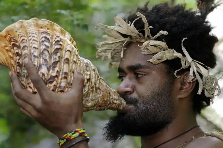 p>棕色人种,又称澳大利亚人种,是按照遗传和体质为人类分类所划分出