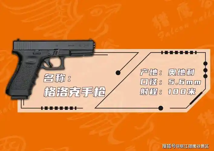 猎鹰谷射击俱乐部六大名枪巡礼_步枪_格洛克手枪_伯莱塔