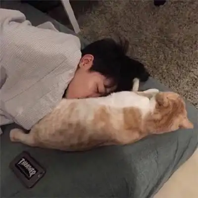 老公与狗不忍直视头像