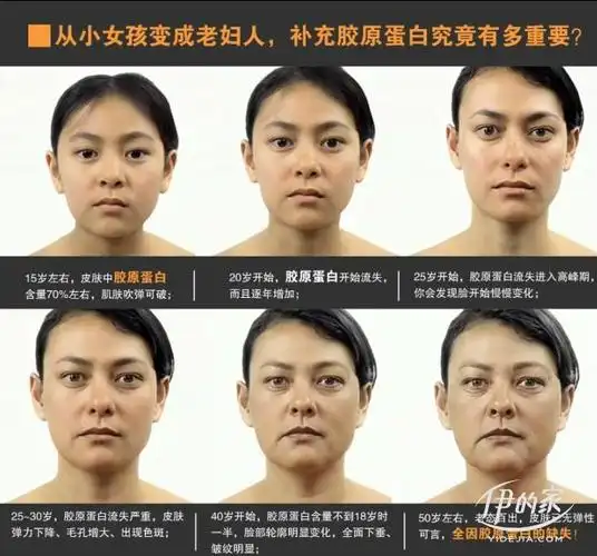 衰老与胶原蛋白的关系