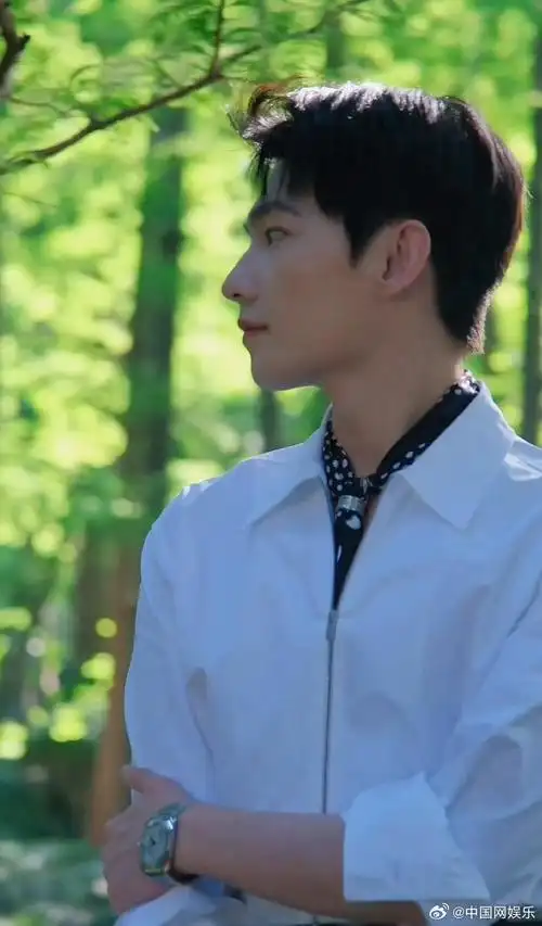 杨洋主演正午首部古装武侠##雨霖铃正式官宣杨洋