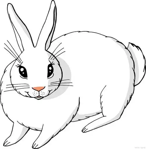 作为一名美术老师,我将以专业且严谨的态度,为一二三年级的学生们提供