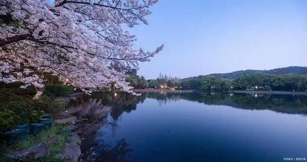 杭州西湖的旅游攻略(白天和夜晚,春夏秋冬)