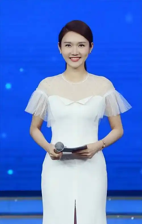 龙洋:从湖南走出的央视著名主持人,男友在雾中迷路了_节目_观众_工作