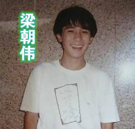 年轻时候的梁朝伟虽然青涩,但是帅气的外表还是挡不住的,而且