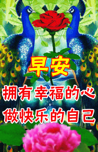 早上好问候语温馨动态图片大全冬天早上好问候祝福语漂亮动图