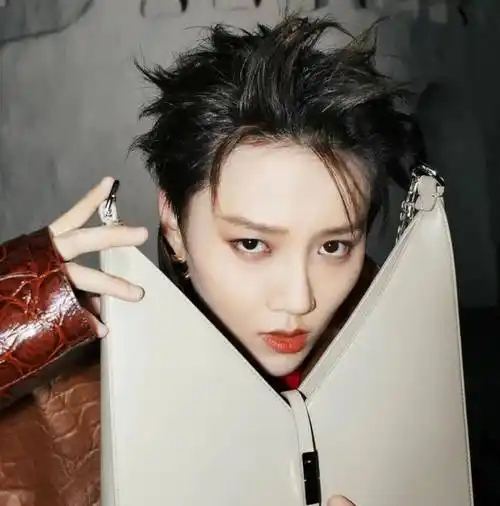 微信头像刘雨昕