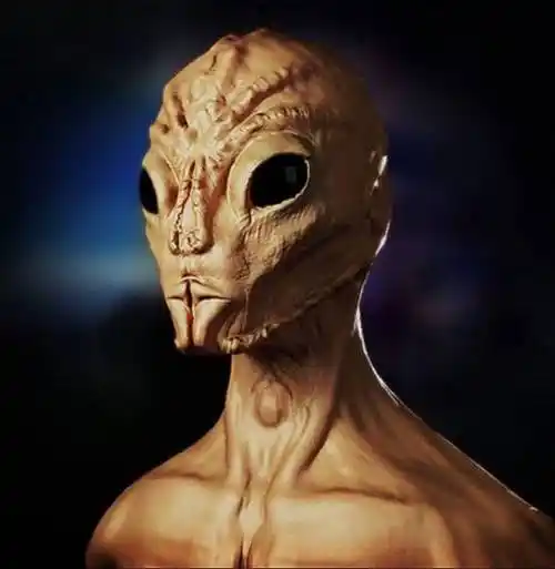 恐怖!最新研究发现的外星人照片