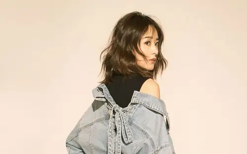 赵丽颖时尚写真桌面壁纸1011