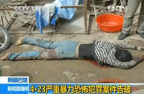 央视公布新疆4.23暴力恐怖事件案情画面(组图)