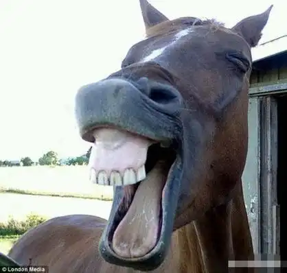 蒙娜丽莎恶搞图片