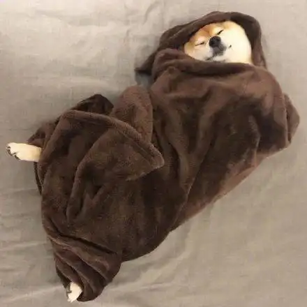 睡觉 被子表情包 - 睡觉 被子微信表情包 - 睡觉 被子qq表情包 - 发