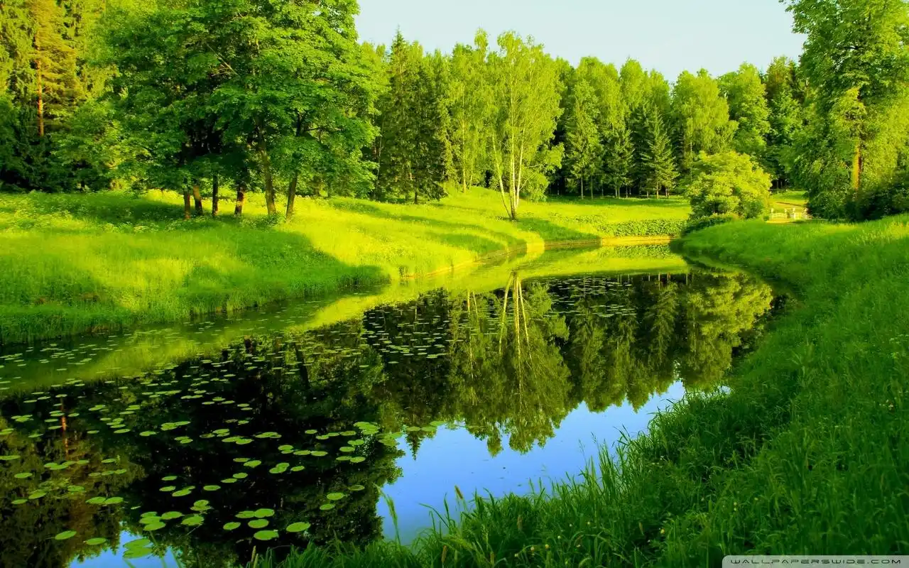 大自然清新美景桌面壁纸.美桌网站为您提供最全最高清的壁纸图片下载.