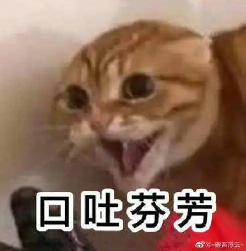 口吐芬芳是什么梗姑娘口吐芬芳的意思