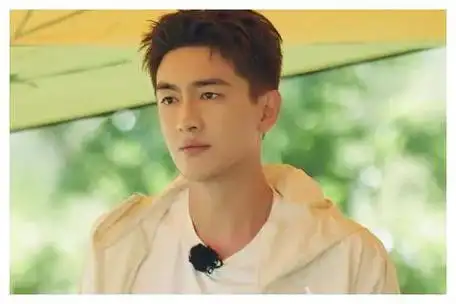 在影视作品中,林更新能够全身心地沉浸在角色之中,将角色的情感与性格