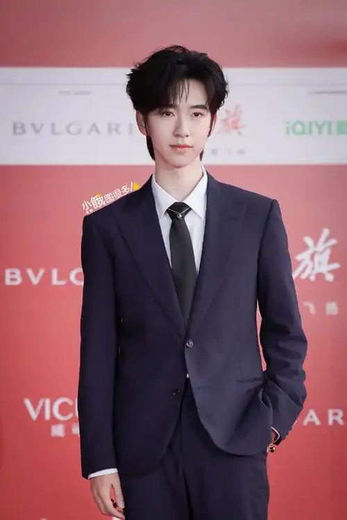 贺峻霖北影节主持##贺峻霖主持生图