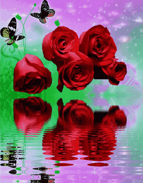 640_818竖版 竖屏gif 动态图 动图